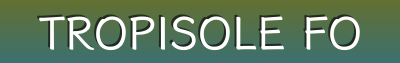 TropiSole Footwear - Trendy Sandals, Sneakers, Espadrilles & Vacation Essentials